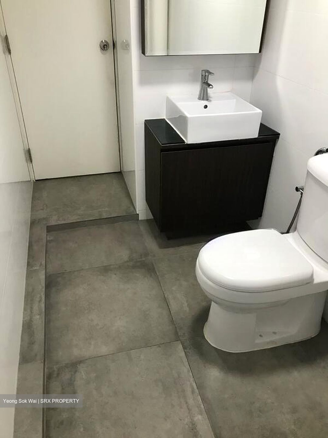 Laguna Park (D15), Apartment #495659131